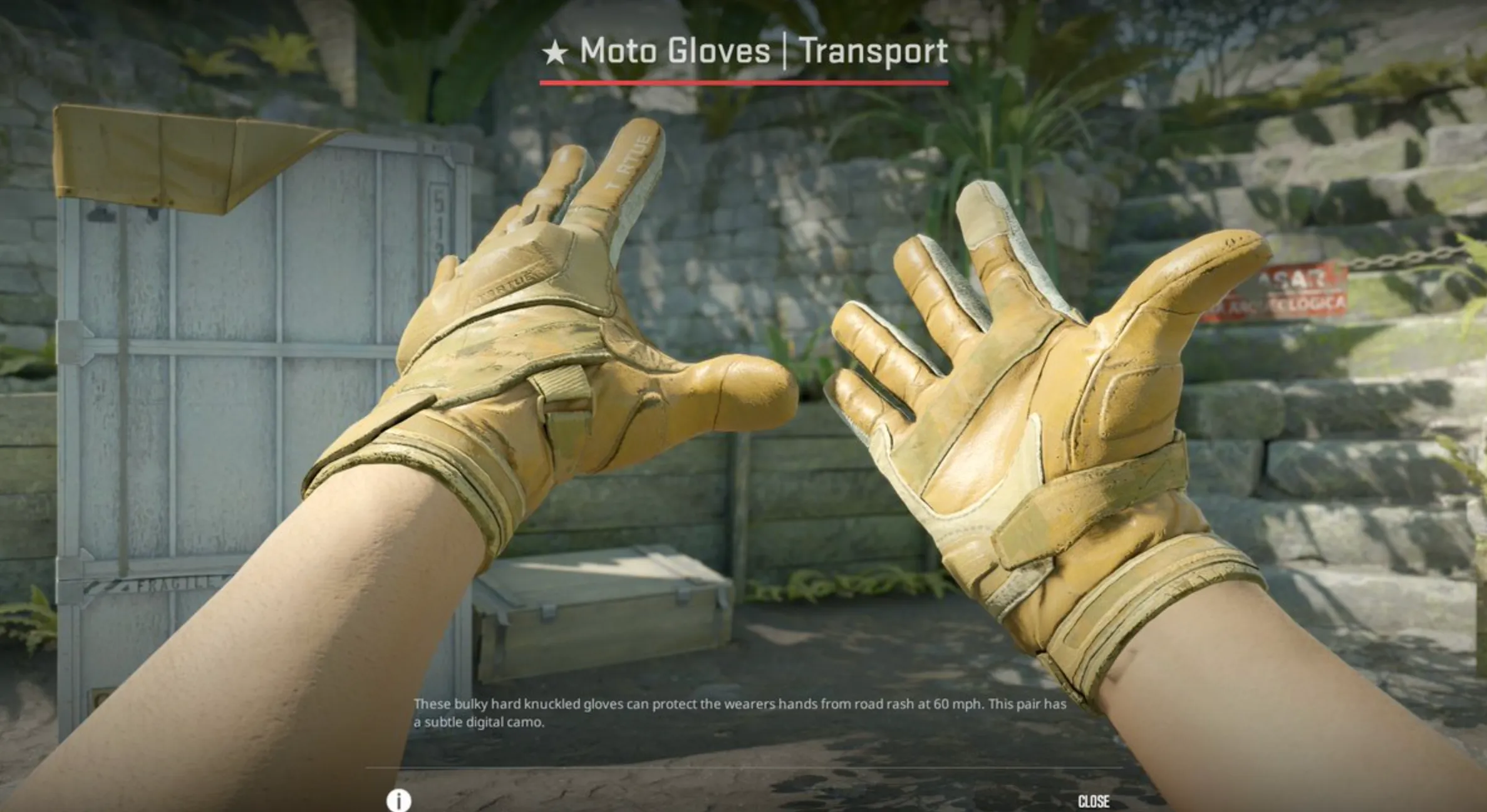 Moto Gloves Transport